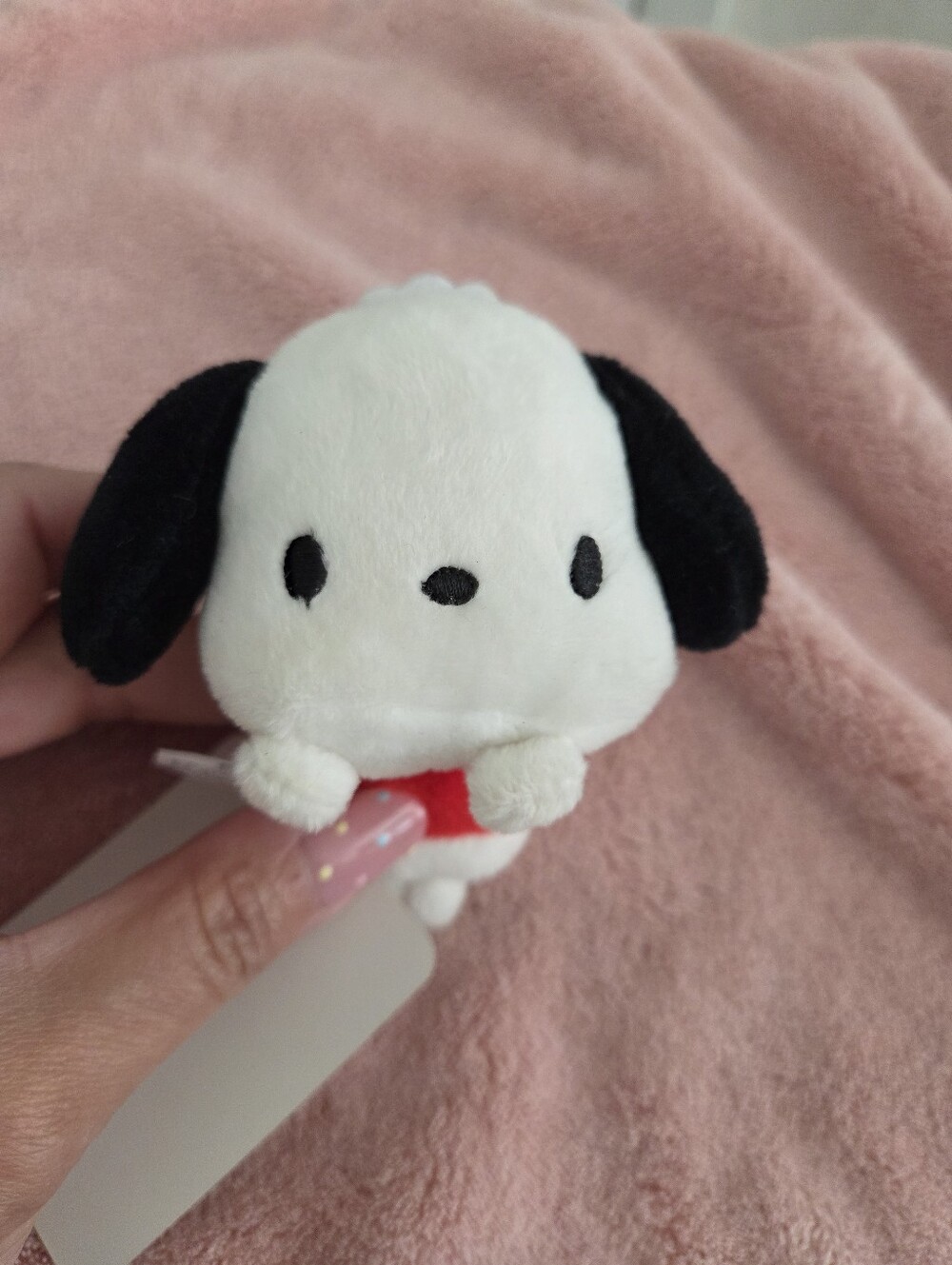 Pochacco Sanrio Toy Plush